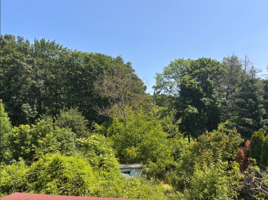 Predaj, záhradný pozemok   491 m2 Trstín