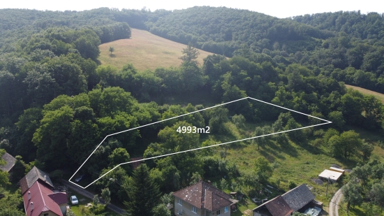 Predaj, pozemok   4993 m2 Hrušovo, Striežovce, Stavebný pozemok