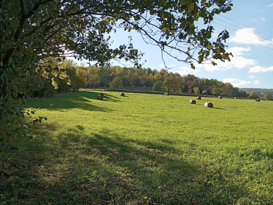 Predaj, pozemok pre rodinný dom   1000 m2 Horný Tisovník