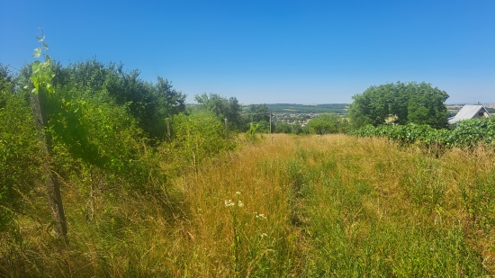 Predaj, záhradný pozemok   2529 m2 Žemberovce - ZNÍŽENÁ CENA