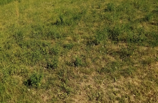 Predaj, pozemok pre rodinný dom   760 m2 Lubina, blízko Nového Mesta nad Váhom