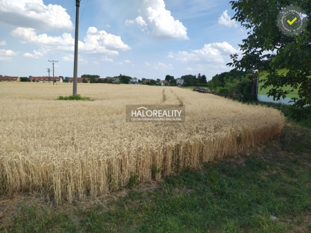 Predaj, pozemok pre rodinný dom   2605 m2 Kútniky, Heďbeneéte - EXKLUZÍVNE HAL...