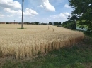 HALO reality | Predaj, pozemok pre rodinný dom   2605 m2 Kútniky, Heďbeneéte - EXKLUZÍVNE HALO REALITY