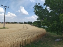 HALO reality | Predaj, pozemok pre rodinný dom   2605 m2 Kútniky, Heďbeneéte - EXKLUZÍVNE HALO REALITY