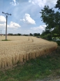 HALO reality | Predaj, pozemok pre rodinný dom   2605 m2 Kútniky, Heďbeneéte - EXKLUZÍVNE HALO REALITY