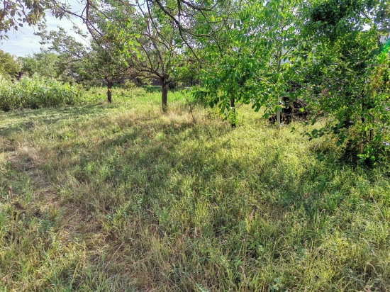 Predaj, pozemok pre rodinný dom   600 m2 Horná Streda