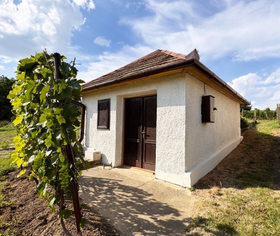 Predaj, chata Bátorove Kosihy, viničný domček, 620 kmeňov viniča - EXKLUZÍVNE HALO REALITY