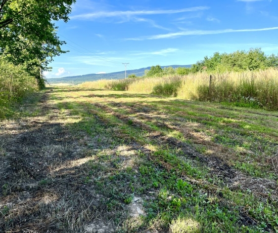 Predaj, pozemok pre rodinný dom   1583 m2 Kolibabovce - EXKLUZÍVNE HALO REALITY