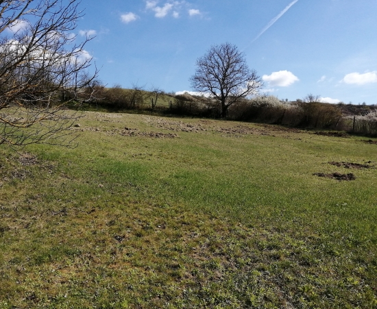 Predaj, rekreačný pozemok Lontov - EXKLUZÍVNE HALO REALITY