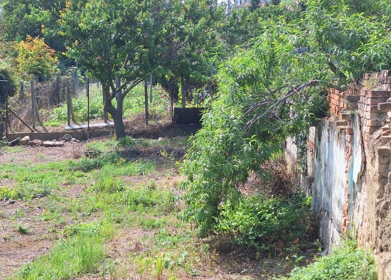 Predaj, pozemok pre rodinný dom   1364 m2 Dolné Orešany