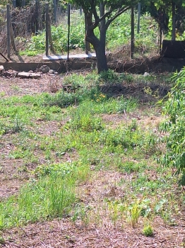 Predaj, pozemok pre rodinný dom   1364 m2 Dolné Orešany