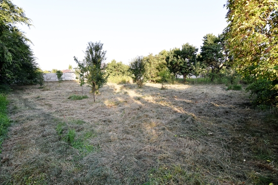 Predaj, pozemok pre rodinný dom   833 m2 Horný Bar, Šuľany - EXKLUZÍVNE HALO REALITY