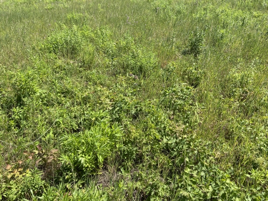 Predaj, pozemok pre rodinný dom   496 m2 Prešov