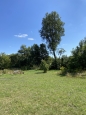 HALO reality | Predaj, pozemok pre rodinný dom   1244 m2 Prešov - EXKLUZÍVNE HALO REALITY