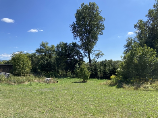 Predaj, pozemok pre rodinný dom   1244 m2 Prešov - EXKLUZÍVNE HALO REALITY
