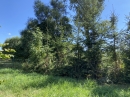 HALO reality | Predaj, pozemok pre rodinný dom   1244 m2 Prešov - EXKLUZÍVNE HALO REALITY