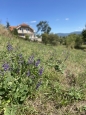 HALO reality | Predaj, pozemok pre rodinný dom   1244 m2 Prešov - EXKLUZÍVNE HALO REALITY