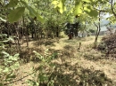 HALO reality | Predaj, pozemok pre rodinný dom   452 m2 Zlatá Idka - EXKLUZÍVNE HALO REALITY