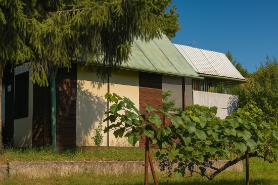 Predaj, záhradná chata Rimavská Sobota, Vinice - EXKLUZÍVNE HALO REALITY