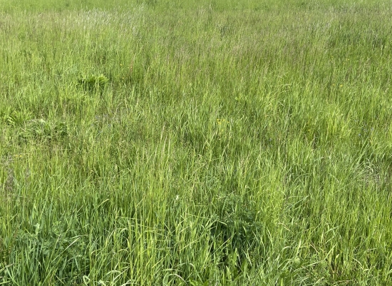 Predaj, pozemok pre rodinný dom   464 m2 Fintice