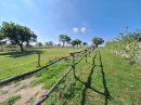 HALO reality | Predaj, rodinný dom Borová, 9.125m2 - EXKLUZÍVNE HALO REALITY