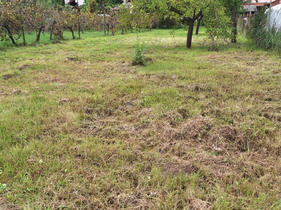 Predaj, pozemok pre rodinný dom   1482 m2 Bojničky