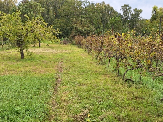 Predaj, pozemok pre rodinný dom   1482 m2 Bojničky