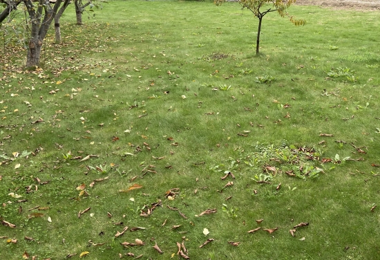 Predaj, pozemok pre rodinný dom   600 m2 Prešov, Solivar