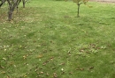 HALO reality | Predaj, pozemok pre rodinný dom   600 m2 Prešov, Solivar