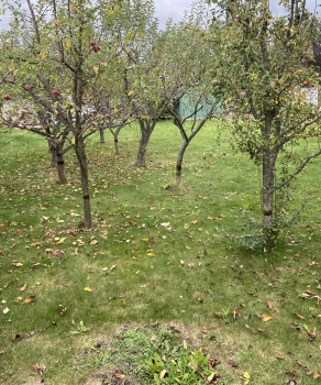 Predaj, pozemok pre rodinný dom   600 m2 Prešov, Solivar