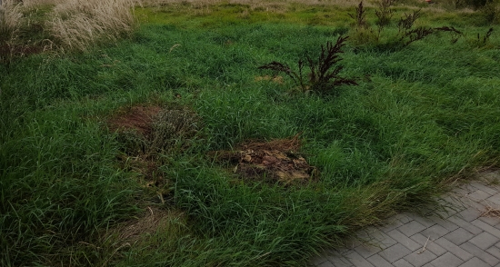 Predaj, pozemok pre rodinný dom   824 m2 Cífer