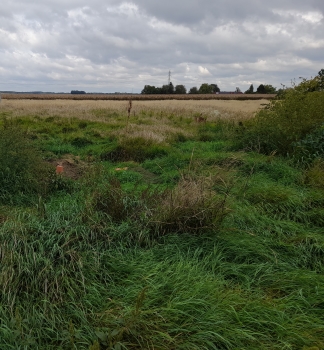 Predaj, pozemok pre rodinný dom   824 m2 Cífer