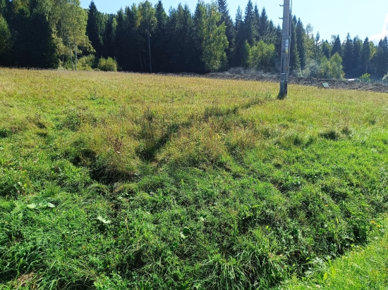 Predaj, rekreačný pozemok Nálepkovo, Zahajnická cesta 617 m2 - EXKLUZÍVNE HALO REALITY