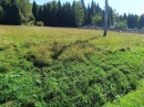 HALO reality | Predaj, rekreačný pozemok Nálepkovo, Zahajnická cesta 617 m2 - EXKLUZÍVNE HALO REALITY
