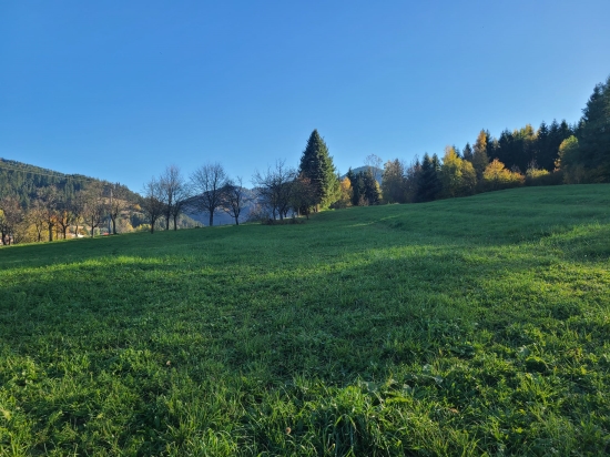 Predaj, pozemok   814 m2 Kamenná Poruba - EXKLUZÍVNE HALO REALITY