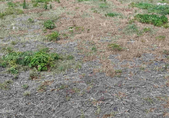 Predaj, pozemok pre rodinný dom   328 m2 Sládkovičovo