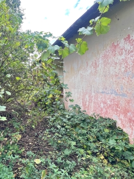 Predaj, pozemok pre rodinný dom   2127 m2 Hronské Kosihy