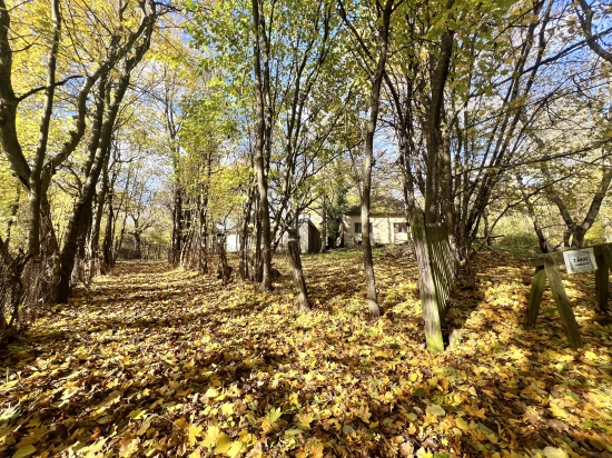 Predaj, rodinný dom Stará Turá, Papraď