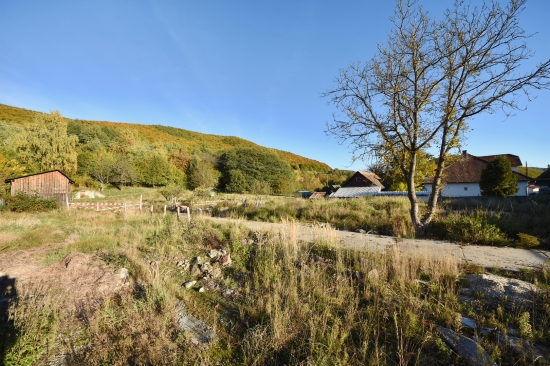 Predaj, pozemok pre rodinný dom   4040 m2 Ostrý Grúň - EXKLUZÍVNE HALO REALITY