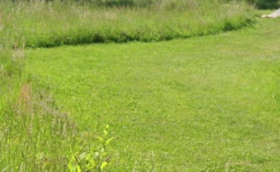 Predaj, pozemok pre rodinný dom   750 m2 Dulova Ves