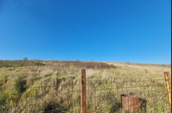 Predaj, pozemok pre rodinný dom   1249 m2 Partizánske, Veľké Bielice