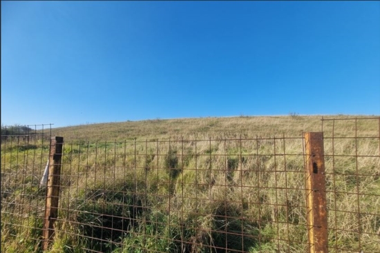 Predaj, pozemok pre rodinný dom   1249 m2 Partizánske, Veľké Bielice