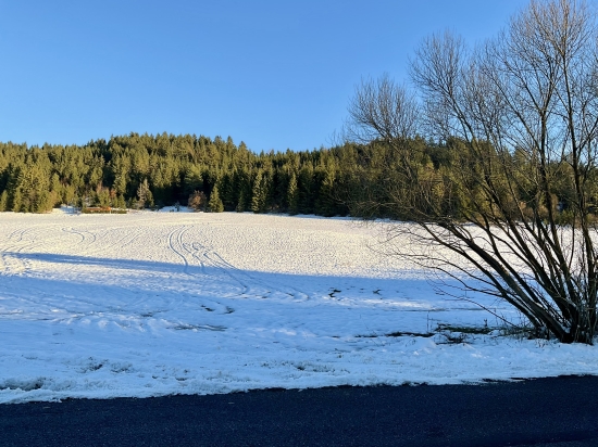 Predaj, pozemok   10200 m2 Dolná Lehota - EXKLUZÍVNE HALO REALITY