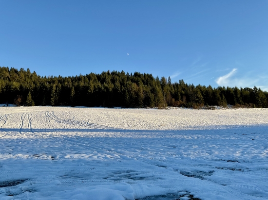 Predaj, pozemok   10200 m2 Dolná Lehota - EXKLUZÍVNE HALO REALITY