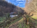 HALO reality | Predaj, chalupa Tisovec, Muránska Planina - Samota - EXKLUZÍVNE HALO REALITY