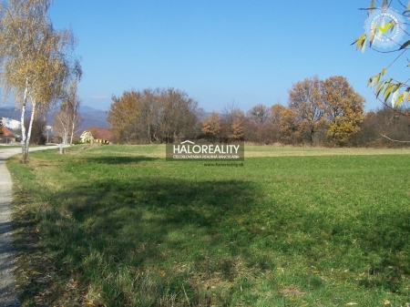 Predaj, pozemok pre rodinný dom   7430 m2 Oslany - EXKLUZÍVNE HALO REALITY