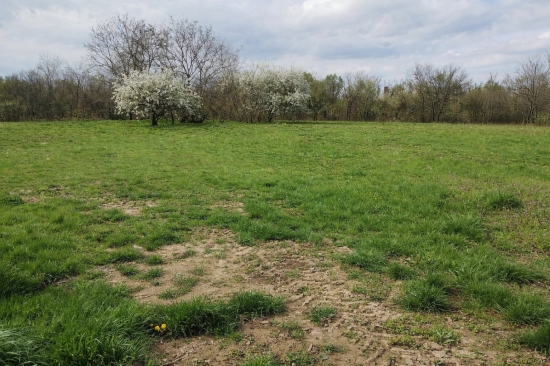 Predaj, pozemok pre rodinný dom   982 m2 Jur nad Hronom