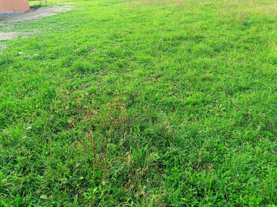 Predaj, pozemok pre rodinný dom   800 m2 Margecany - EXKLUZÍVNE HALO REALITY