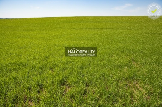 Predaj, pozemok pre rodinný dom   1302 m2 Brunovce