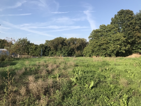 Predaj, pozemok pre rodinný dom   660 m2 Budmerice, s právoplatným úz. rozhodnutím - EXKLUZÍVNE HALO REALITY